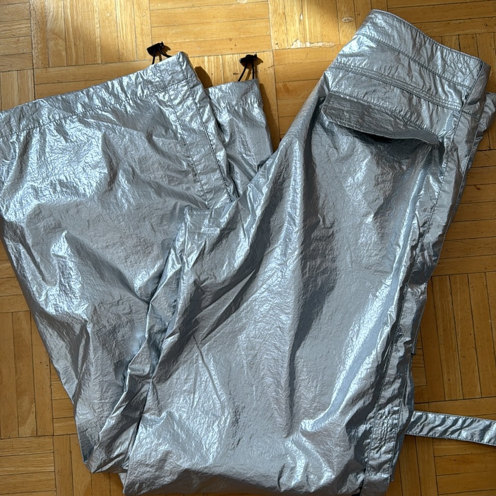 Zara Metallic Pants size S